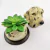 Potiche Pet Pote Decorativo Cachorro Dalmata 17x12cm Decor - Inigual - Loja de Decoração, Plantas Artificiais, Presentes, Utilidades, Mesa Posta e decoração de Páscoa e Natal
