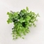 Pick De Eucalipto Planta Artificial Permanente 24x16cm M na internet