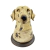 Potiche Pet Pote Decorativo Cachorro Dalmata 17x12cm Decor