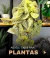 Banner de Inigual Decor: Decoração, Plantas Artificiais e Presentes Online
