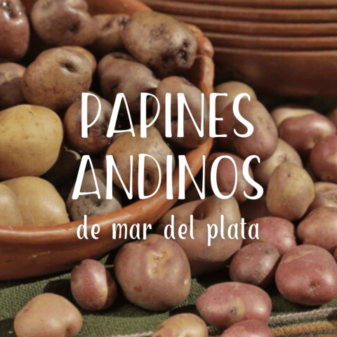 PAPINES ANDINOS (oca y lisa)(500gr)