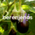 BERENJENA (kilo)