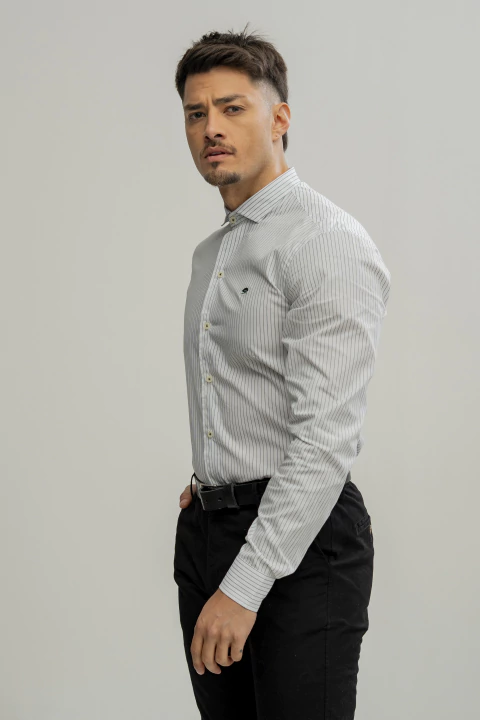 Camisa Teodoro 08 - Lineas Verdes - La Argentina