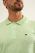 Polo Lezama - Verde en internet