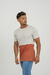 Remera Tango 03 - Gris y Ladrillo - comprar online