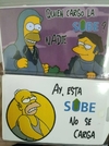 Portasube Esta sube no se carga Simpson