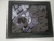 Cuadro Barney "Ya estoy muerto" 20x25