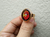 Anillo Hellfish Simpson