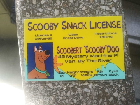Licencia Scooby Doo