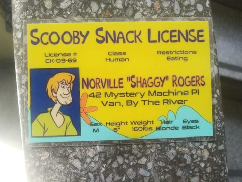 Licencia Shaggy - Scooby Doo