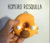 Homero Rosquilla iman