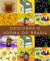 Carrossel 6