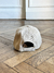 Gorra Seal - comprar online