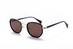 Lentes de Sol Polarizados - Modelo 1866 Sepia - Catto - comprar online