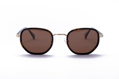 Lentes de Sol Polarizados - Modelo 1866 Sepia - Catto