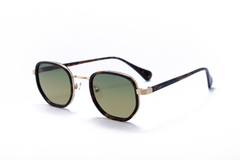 Lentes de Sol Polarizados - Modelo 1866 Sepia - Catto - comprar online