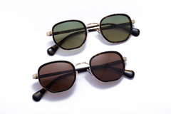 Lentes de Sol Polarizados - Modelo 1866 Sepia - Catto en internet