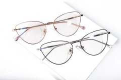 Mod. 5007, BIB en internet