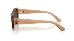 Ray Ban 4446 678487 S54 - Optica Sigma