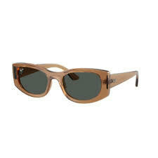Ray Ban 4446 678487 S54 en internet