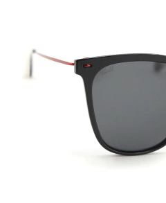 Modelo Feci Polarizado, Vulk en internet