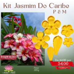 Kit Jasmim do Caribe P e M