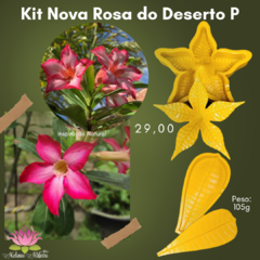Kit nova rosa do deserto p