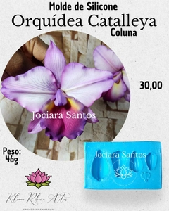 MOLDES DE SILICONE ORQUIDEAS KIT JOCIARA SANTOS 13 PÇ + BRINDE - comprar online