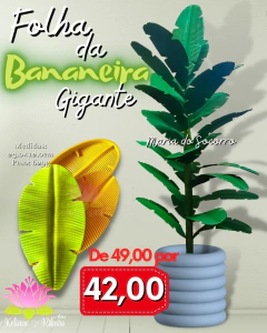 FOLHA DA BANANEIRA