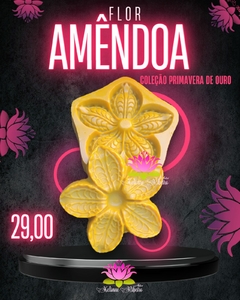 FLOR AMÊNDOA LANÇAMENTOS 2022