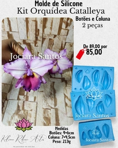 MOLDES DE SILICONE ORQUIDEAS KIT JOCIARA SANTOS 13 PÇ + BRINDE na internet