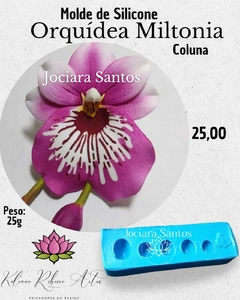 MOLDES DE SILICONE ORQUIDEAS KIT JOCIARA SANTOS 13 PÇ + BRINDE - loja online