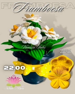 FRAMBOESA