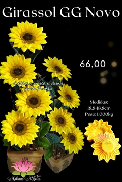 GIRASSOL GG NOVO