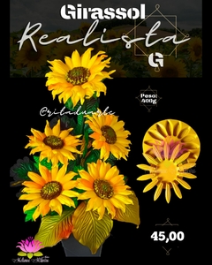 GIRASSOL REALISTA G
