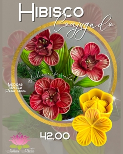 HIBISCO CONJUGADO