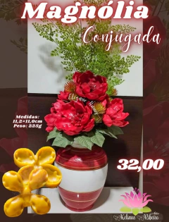 MAGNÓLIA CONJUGADA