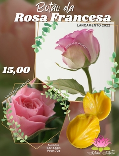 BOTÃO DA ROSA FRANCESA