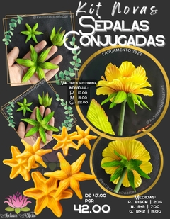 KIT NOVAS SÉPALAS CONJUGADAS