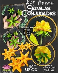 KIT NOVAS SÉPALAS CONJUGADAS - comprar online