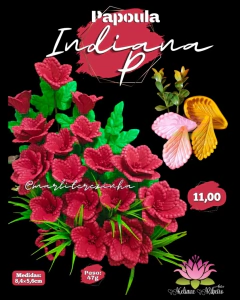 PAPOULA INDIANA P