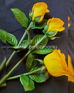 KIT ROSA PETRÓPOLIS - comprar online