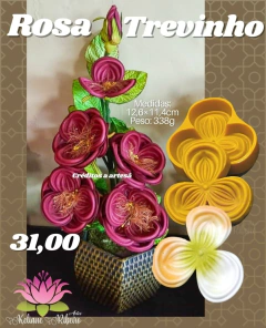 ROSA TREVINHO