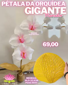 KIT MARCADORES GIGANTES + BRINDE MARCADOR DA FOLHA na internet