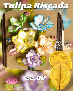 TULIPA RISCADA - comprar online