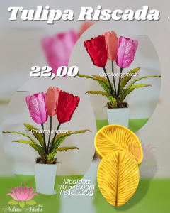 TULIPA RISCADA