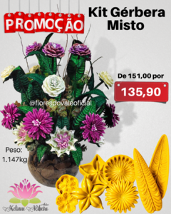 KIT FRISADORES GÉRBERA MISTO