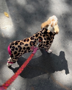 4patas print clarita