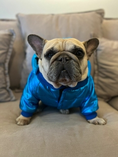 campera PAX