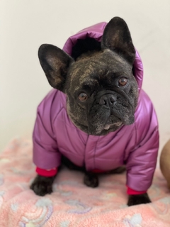 CAMPERA COQUITA